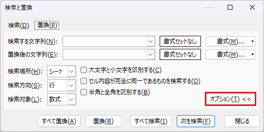 オプション項目